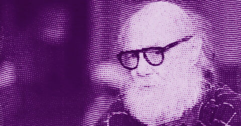A stylized, purple-toned image of Paul McCarthy with a beard and glasses, created with a wavy dotted pattern effect. The face is partially faded into the background, giving an abstract appearance. © Illustration by Art Critic.